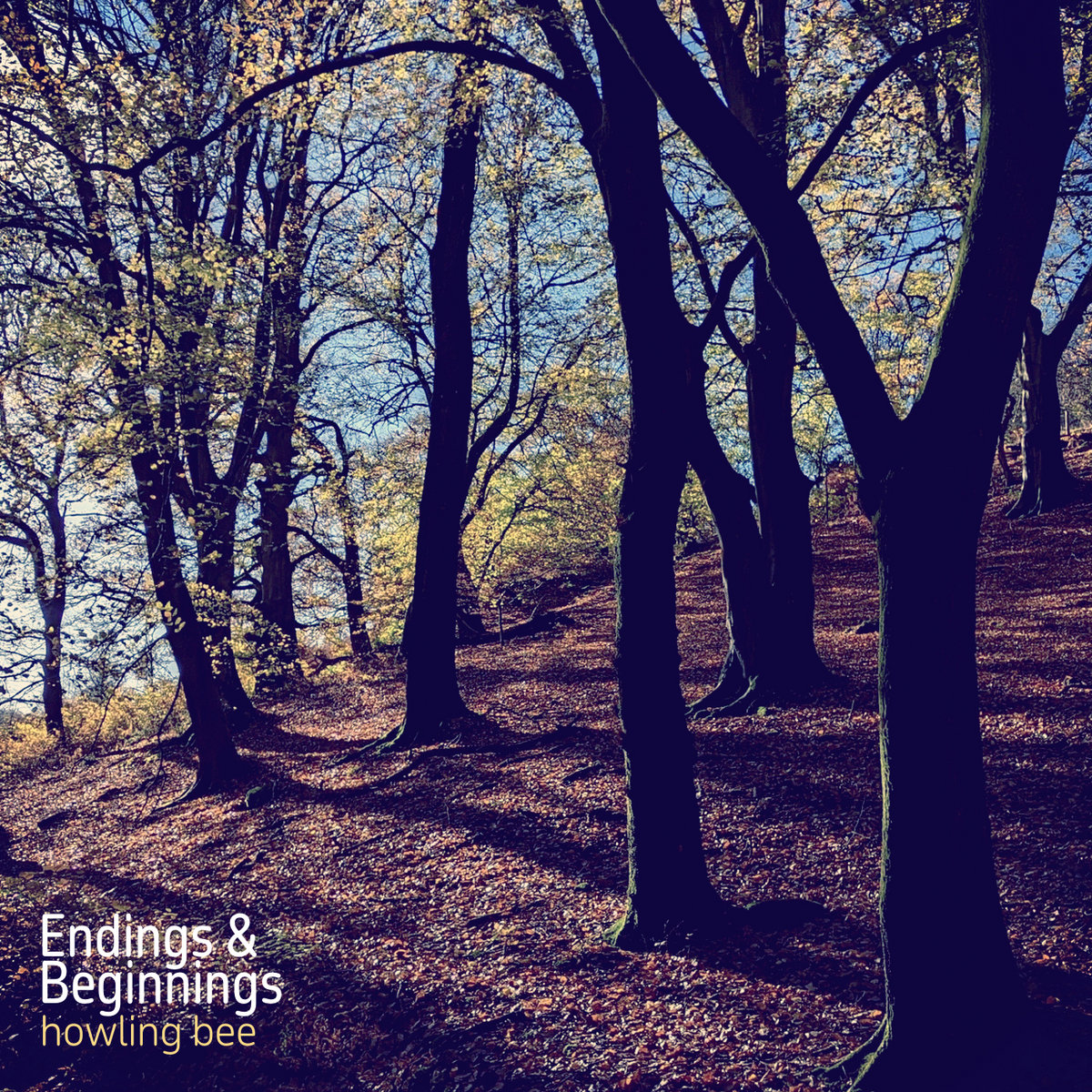 Howling Bee — Endings & Beginnings